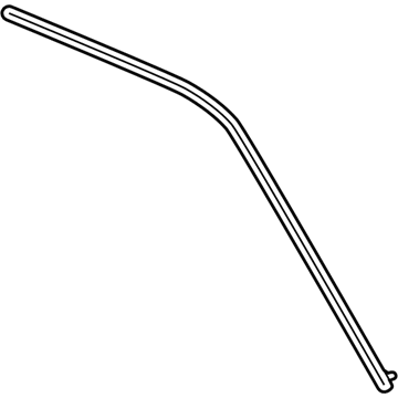 Dodge Charger Door Moldings - 57010504AM