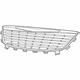 Mopar 68100692AB Radiator Grille
