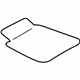 Mopar 1GN341DVAA Floor Mat Complete