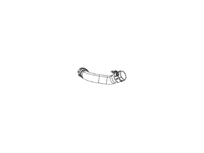 2014 Jeep Wrangler Radiator Hose - 68211603AA