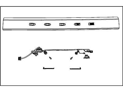 2011 Dodge Durango Tailgate Handle - 55079185AE