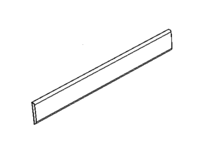 2020 Ram ProMaster 1500 Door Moldings - 1ZT42JXWAB