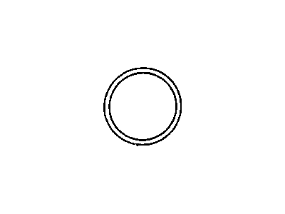 Mopar 53010419AB Gasket-Water Pump