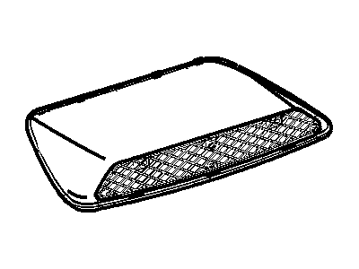 Mopar 5029484AB Grille-Hood