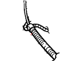 Jeep Cherokee Battery Cable - 56009783AE Battery Wiring