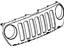 Mopar 55156805AD Grille-Radiator