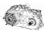 Mopar 68250776AB Transfer Case