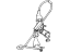 Mopar 55154624 Rear Door Window Regulator