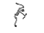 Mopar 68064261AA Wiring-Power Seat