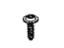 Mopar 68301941AA Screw