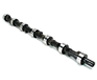 Dodge Charger Camshaft