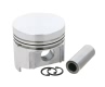 Dodge Charger Piston