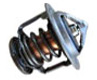 Jeep Wrangler Thermostat